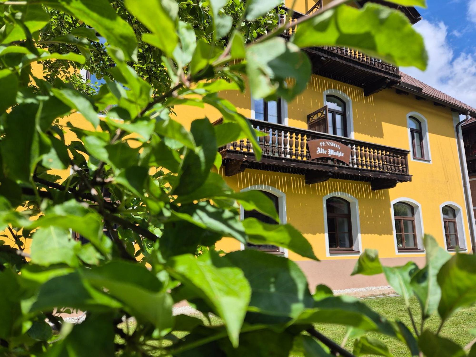 Pension Alte Muehle Gmünd エクステリア 写真