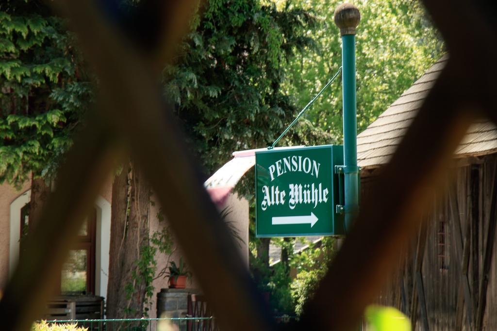 Pension Alte Muehle Gmünd エクステリア 写真