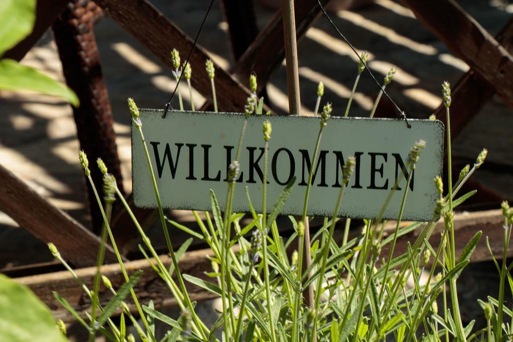 Pension Alte Muehle Gmünd エクステリア 写真
