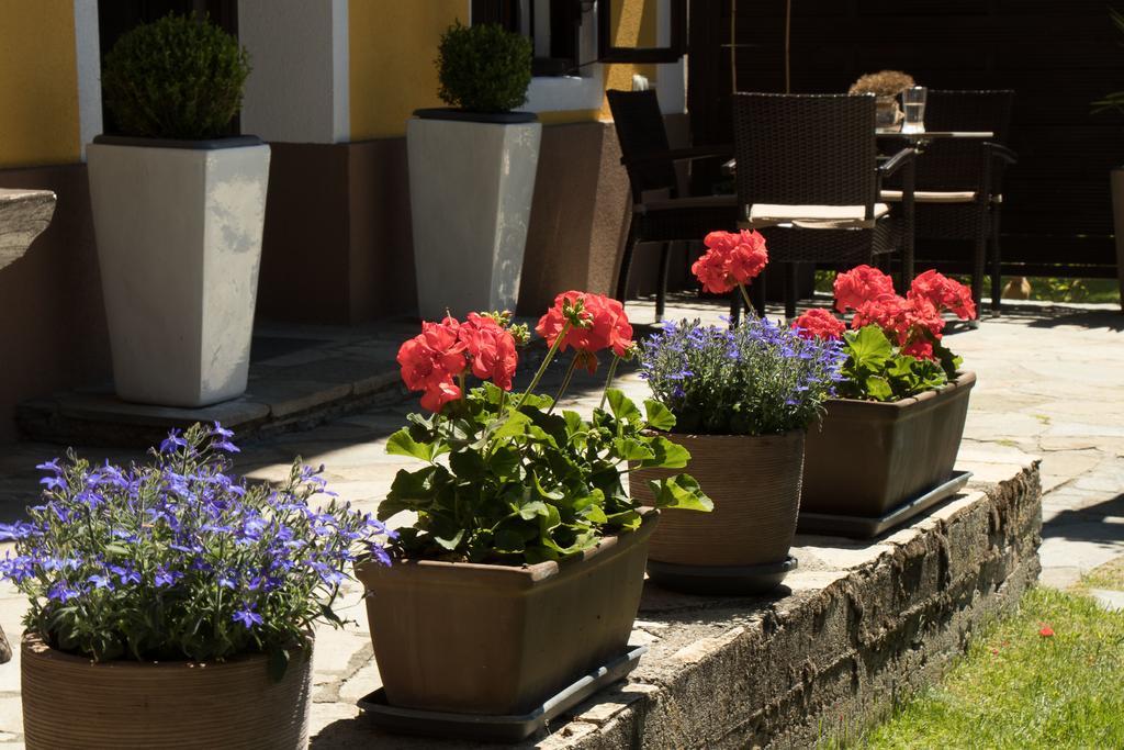 Pension Alte Muehle Gmünd エクステリア 写真