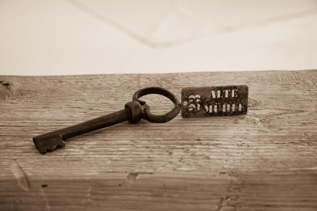 Pension Alte Muehle Gmünd エクステリア 写真