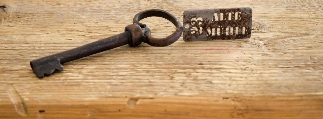 Pension Alte Muehle Gmünd エクステリア 写真
