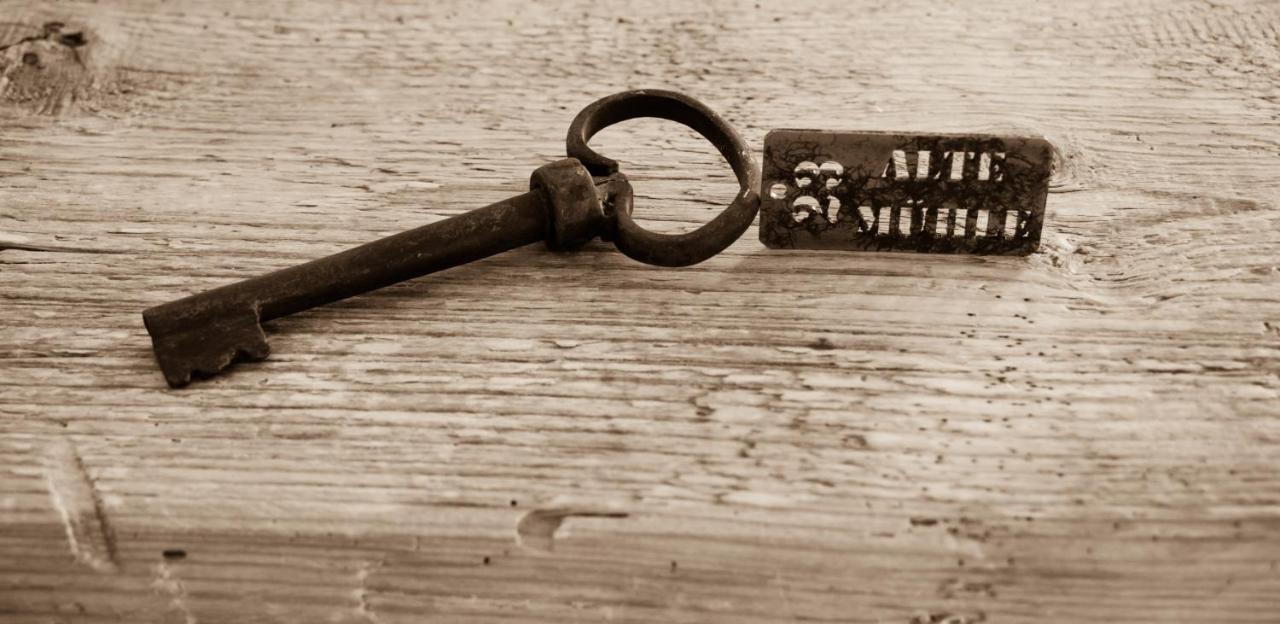 Pension Alte Muehle Gmünd エクステリア 写真
