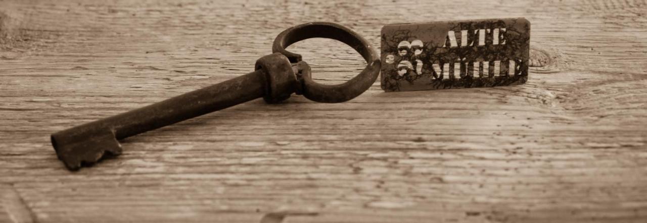 Pension Alte Muehle Gmünd エクステリア 写真